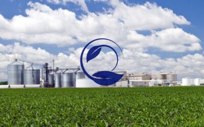 Biorefining and the Circular Economy Strategy