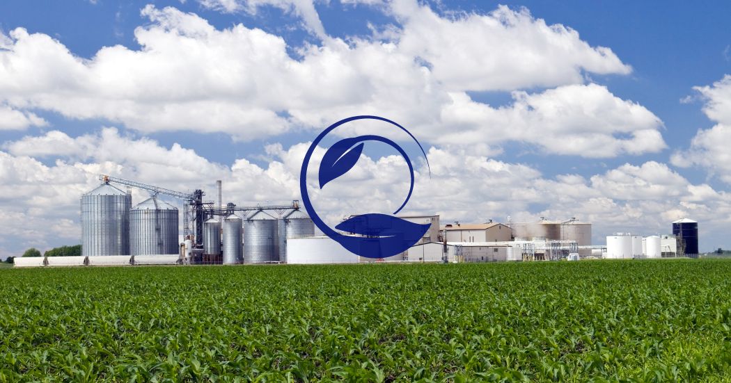 Biorefining and the Circular Economy Strategy